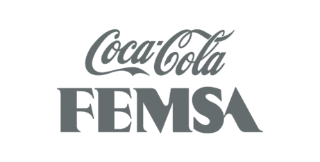 femsa-1